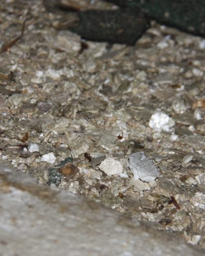 Vermiculite – amiante